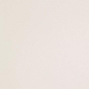 ICON WHITE 60.jpg